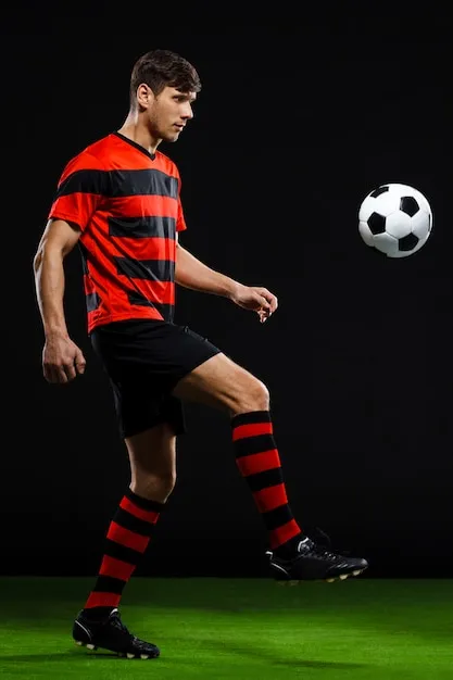 开云体育 App 界面